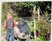 Gartentag 2024