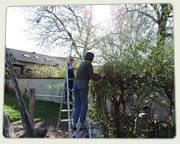 Gartentag 2024