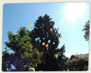 Sommerfest 2021